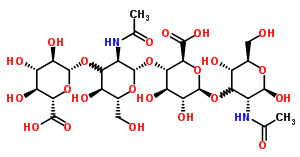 מבנה מולקולרי של חומצה היאלורונית, מציג את הקשרים הכימיים בין היחידות המרכיבות את הפולימר.