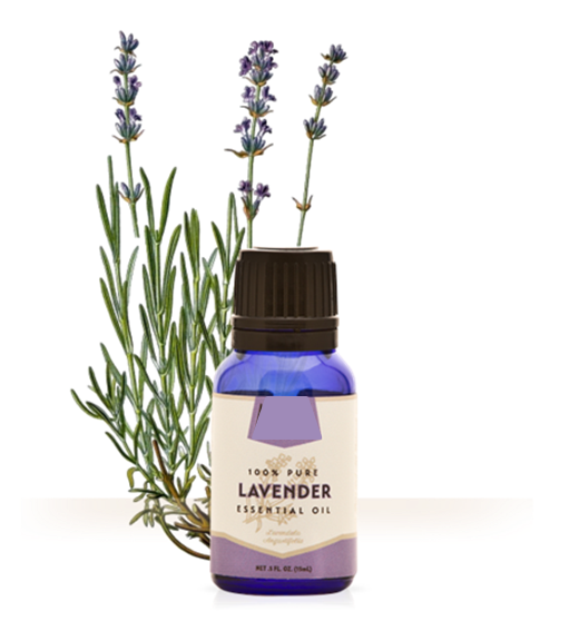 Lavender_oil.png