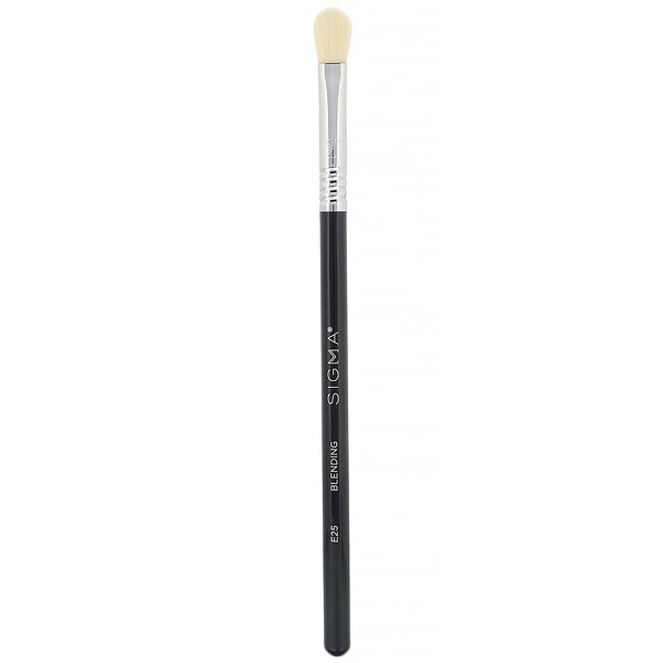 Sigma, E25, Blending Brush