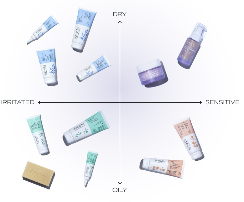 סכימה של מוצרים לבעיות עור מסוגים שונים, כולל מוצרים לבעלי עור יבש, שמן או רגיש. המוצרים מסודרים באזורי שונות לפי סוג העור ותסמינים.