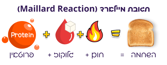 אילוסטרציה של תגובת מיילארד, המציגה את התהליך הכימי שבו חלבון, סוכר וחום יוצרים קרום לחם חום.