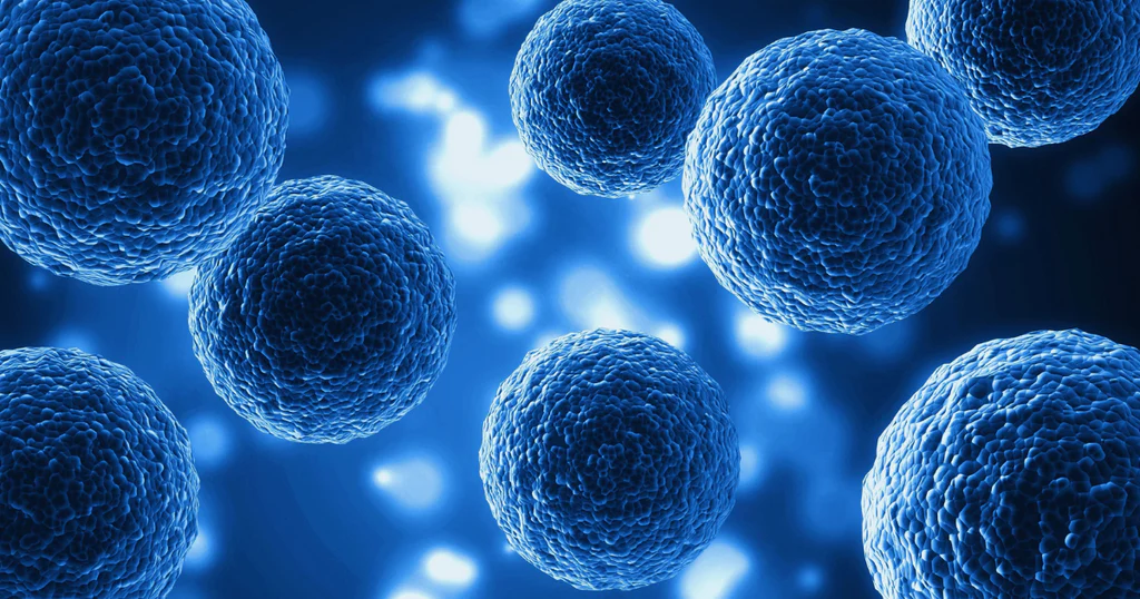 תמונה מוחשית של תהליך בתאים, המציגה אקסוזומים כחלק מהתקשורת הבין-תאית בעור.