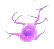 איור של תא עם צורת כוכב בצבע סגול, המדגים את מבנה התאים בעור.