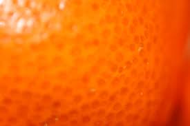 תצלום מקרוב של קליפת תפוז, מראה את המרקם המחוספס והנקבוביות בקליפה.