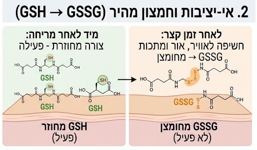 גלוטתיון