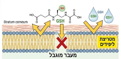 גלוטתיון